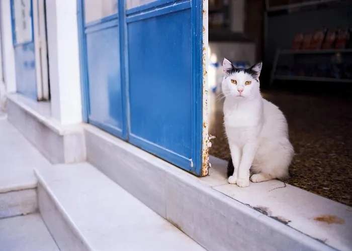 Luxury Naxos Superior With Balcony Steps Away From Appartement *