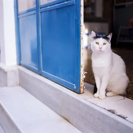 Luxury Naxos Superior With Balcony Steps Away From The Main Square Saint George Apartment *